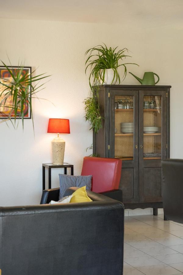 Le Clos Bellevue Appartement T3 Parking + Piscine Rodez Buitenkant foto